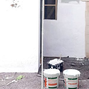 pintura5